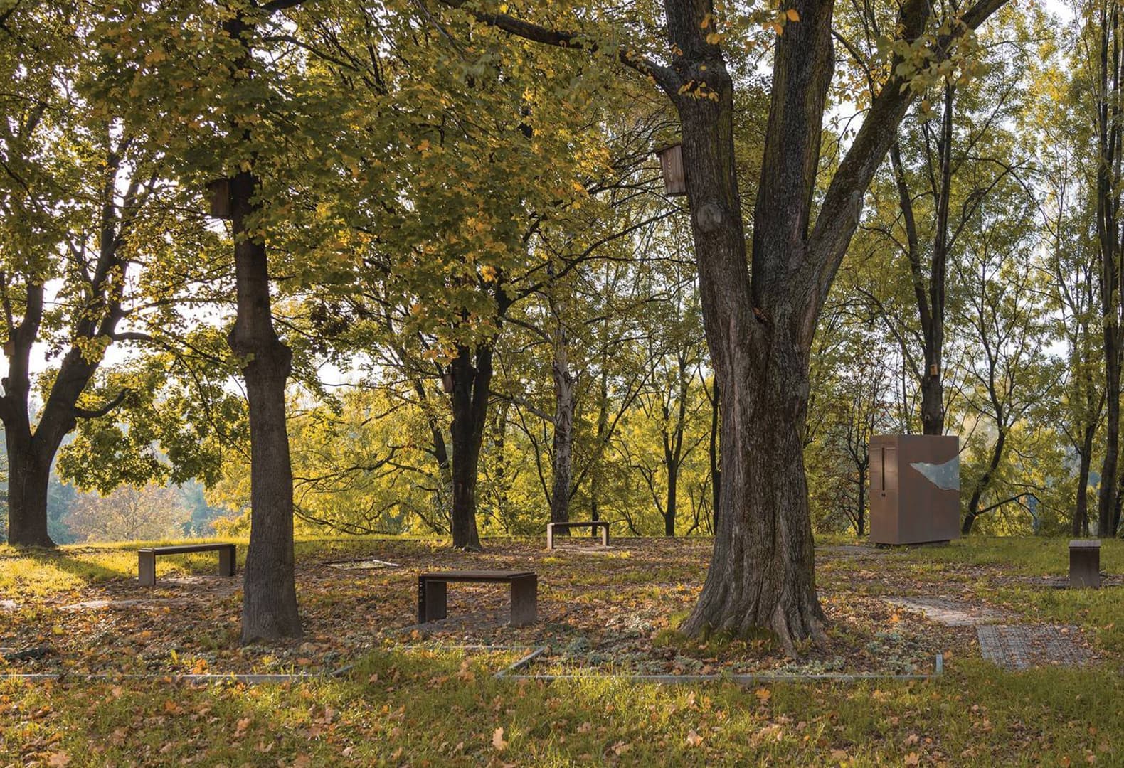 Мемориальный парк на территории Большой Синагоги Освенцима. NArchitekTURA + Bartosz Haduch. Фото: Bartosz Haduch