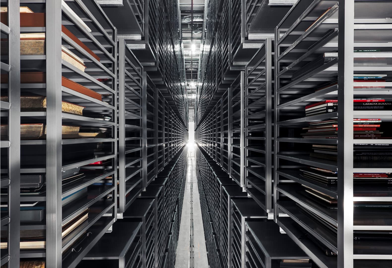 Оливия Конье. Totem