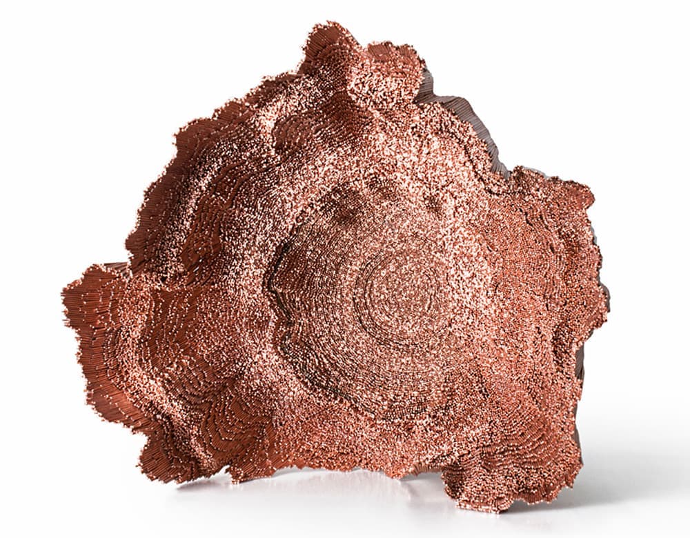 Loewe Foundation Craft Prize 2021: Номинация Другие - Дэвид Корвалан (David Corvalán)