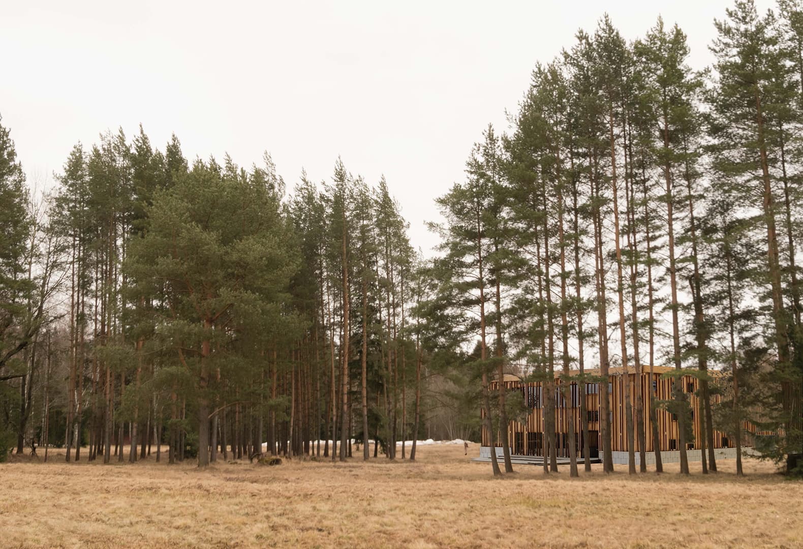 Екатерина Постоюк, проект Лицея в Павловском парке. Дипломная студия «Новгород», МАРШ