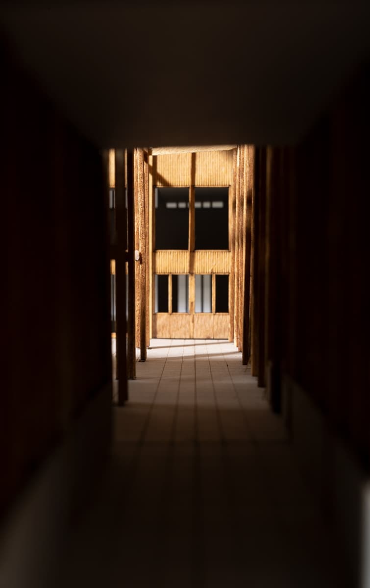 Екатерина Постоюк, проект Лицея в Павловском парке. Дипломная студия «Новгород», МАРШ