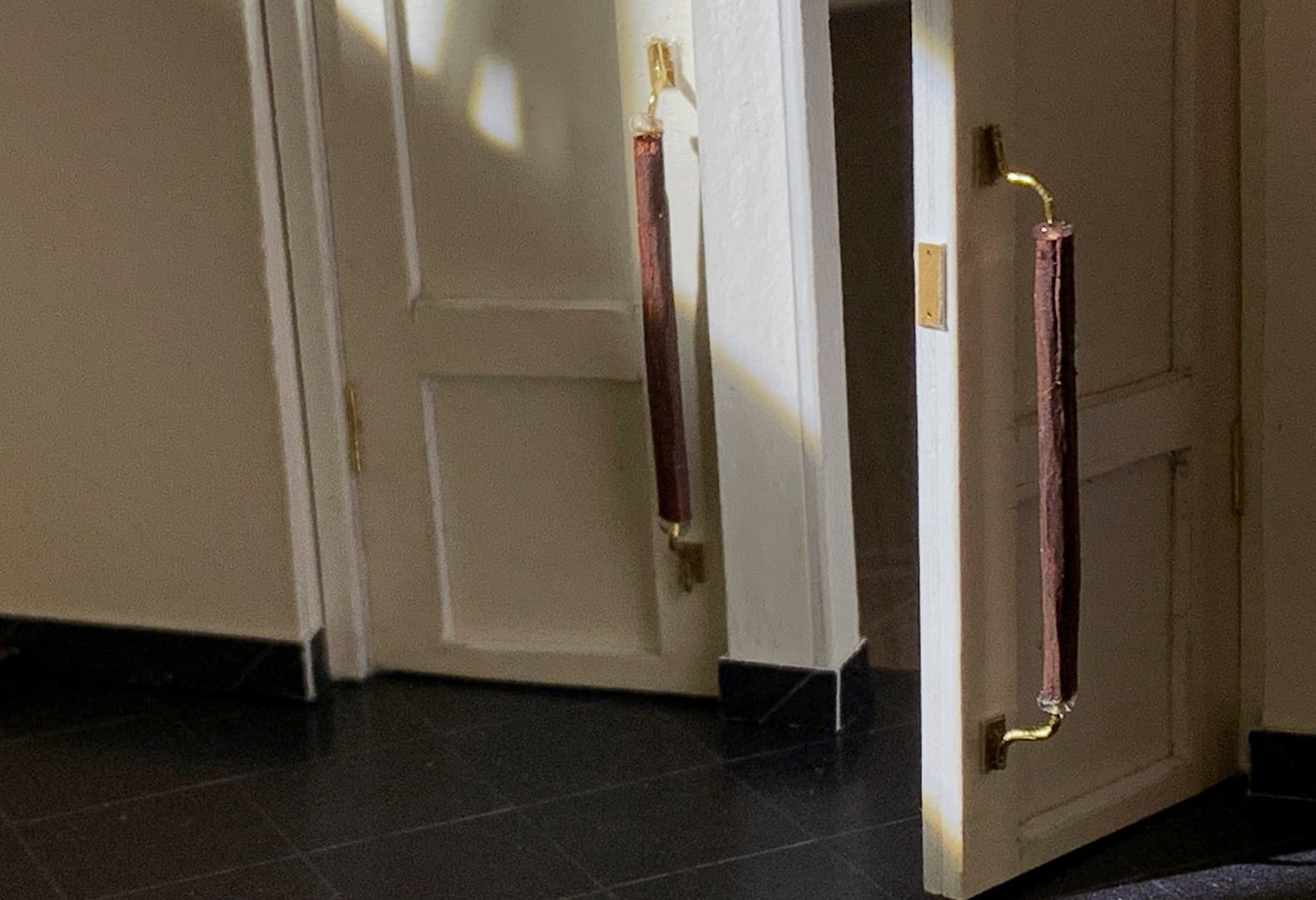 Александра Казанджян, проект Лицея в Павловском парке. Дипломная студия «Новгород», МАРШ