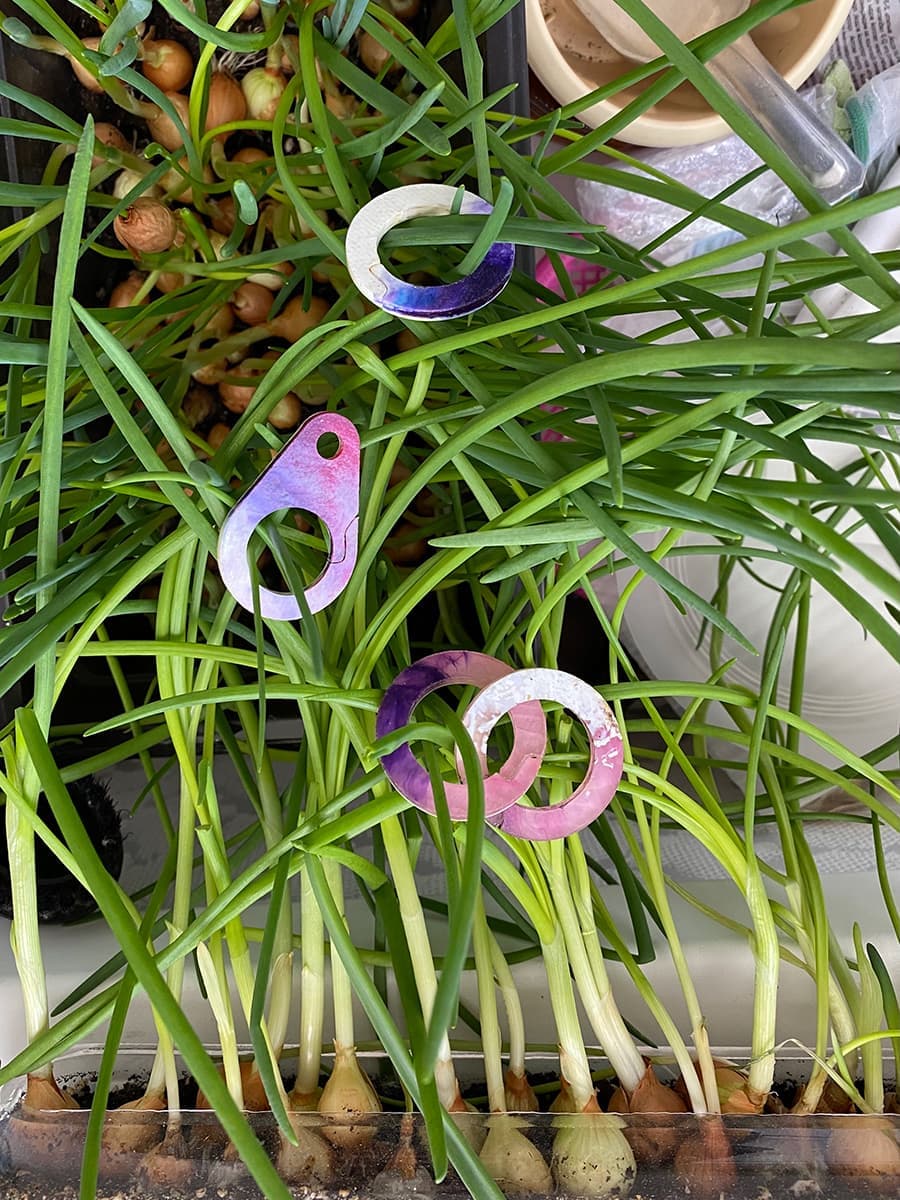 Буляш Тодаева