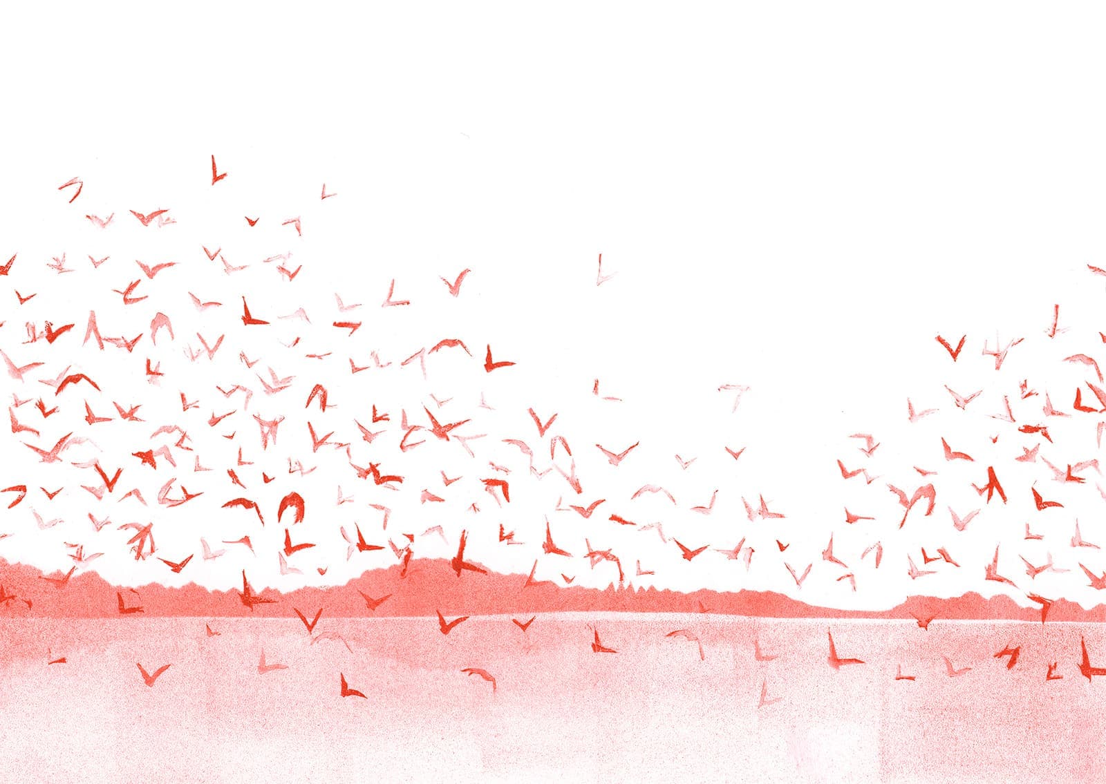 «Ветер тот же самый», Анна Подлипенцева