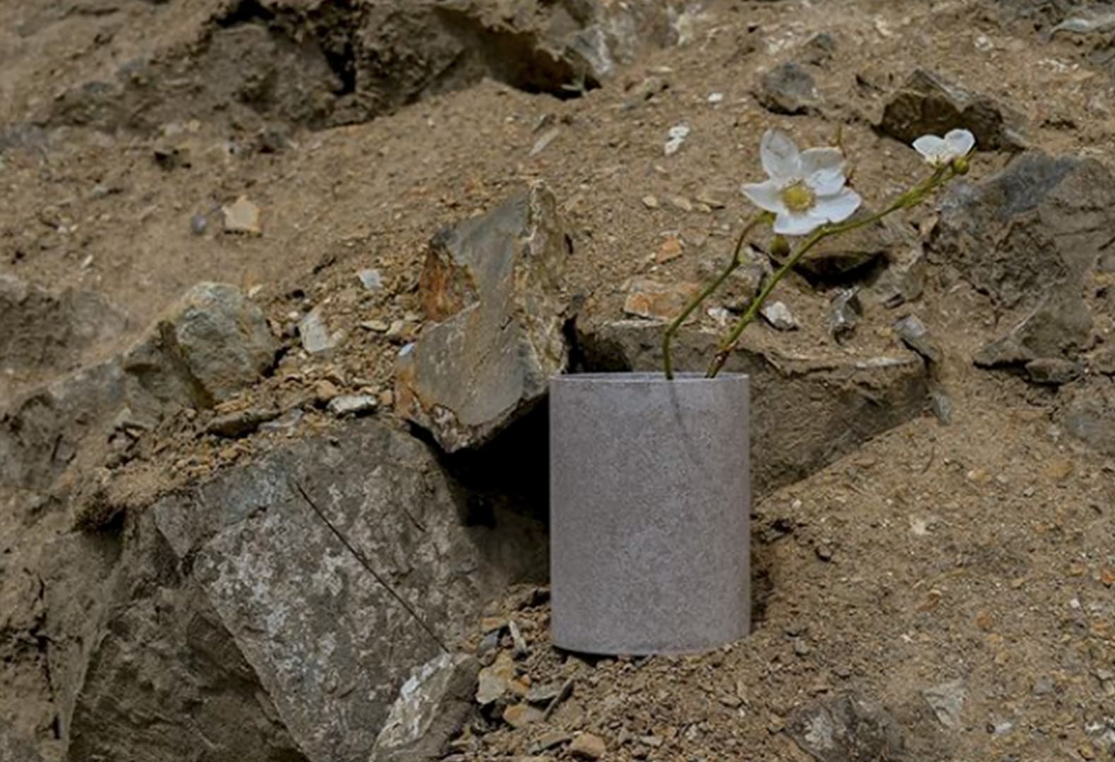 Alcova. Alyssa Lewis / Marcela Trejo