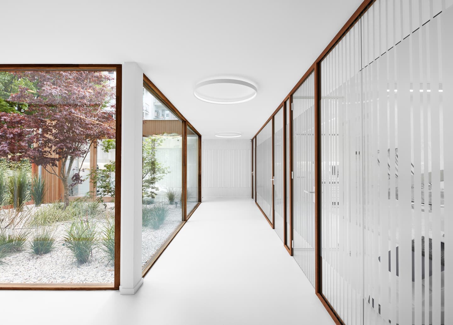 Стоматология с собственным садом в Амстердаме – новый проект i29 interior architects