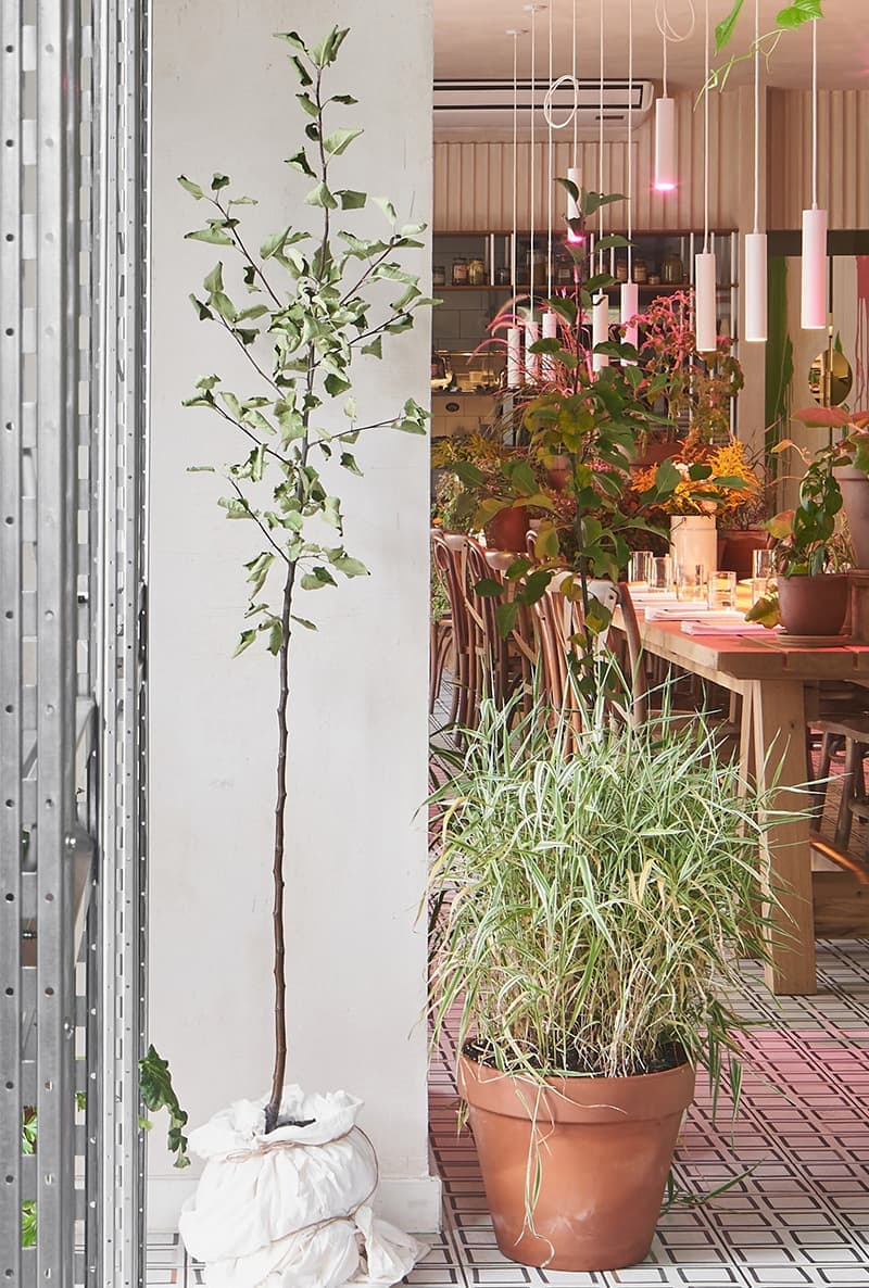 Шарм деревенского быта в интерьере питерского поп-ап ресторана – проект DA bureau