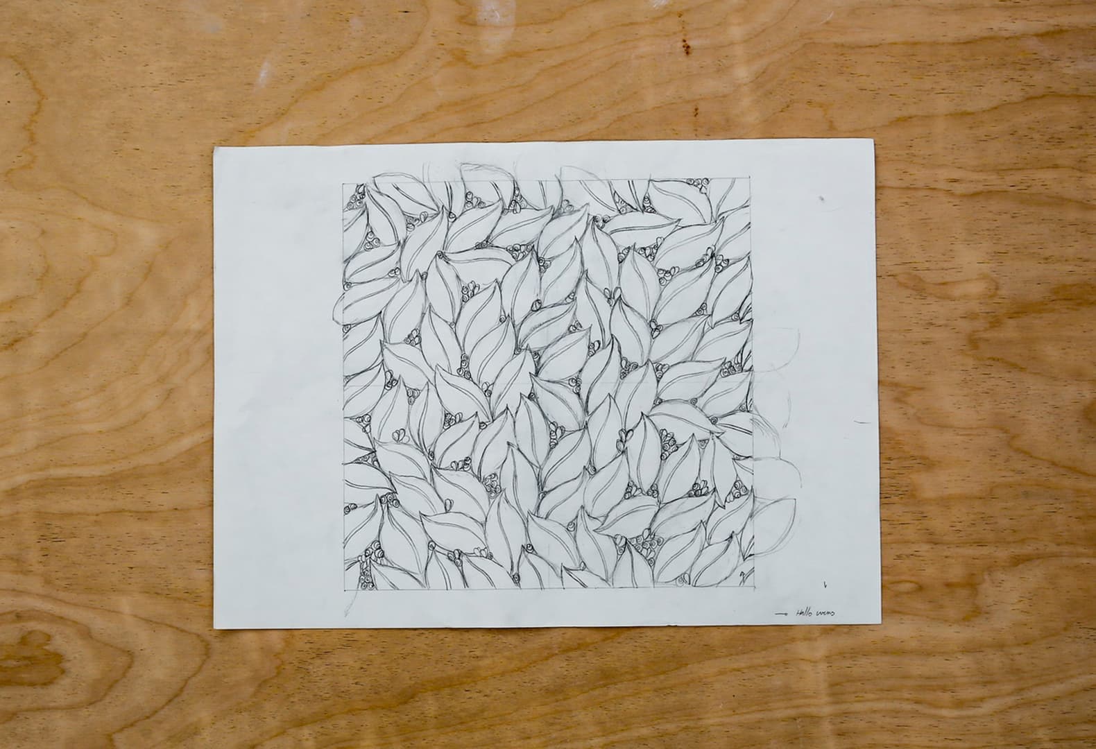 Процесс работы над проектом Ivens Arte Ceiling