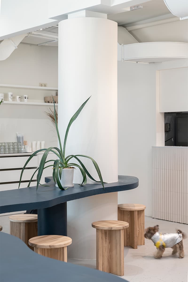 Лаконичный интерьер кафе с серферским духом – проект FREYA Architects