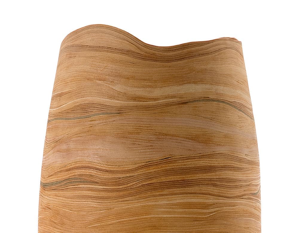 Sense of Forest. Джунсу Ким