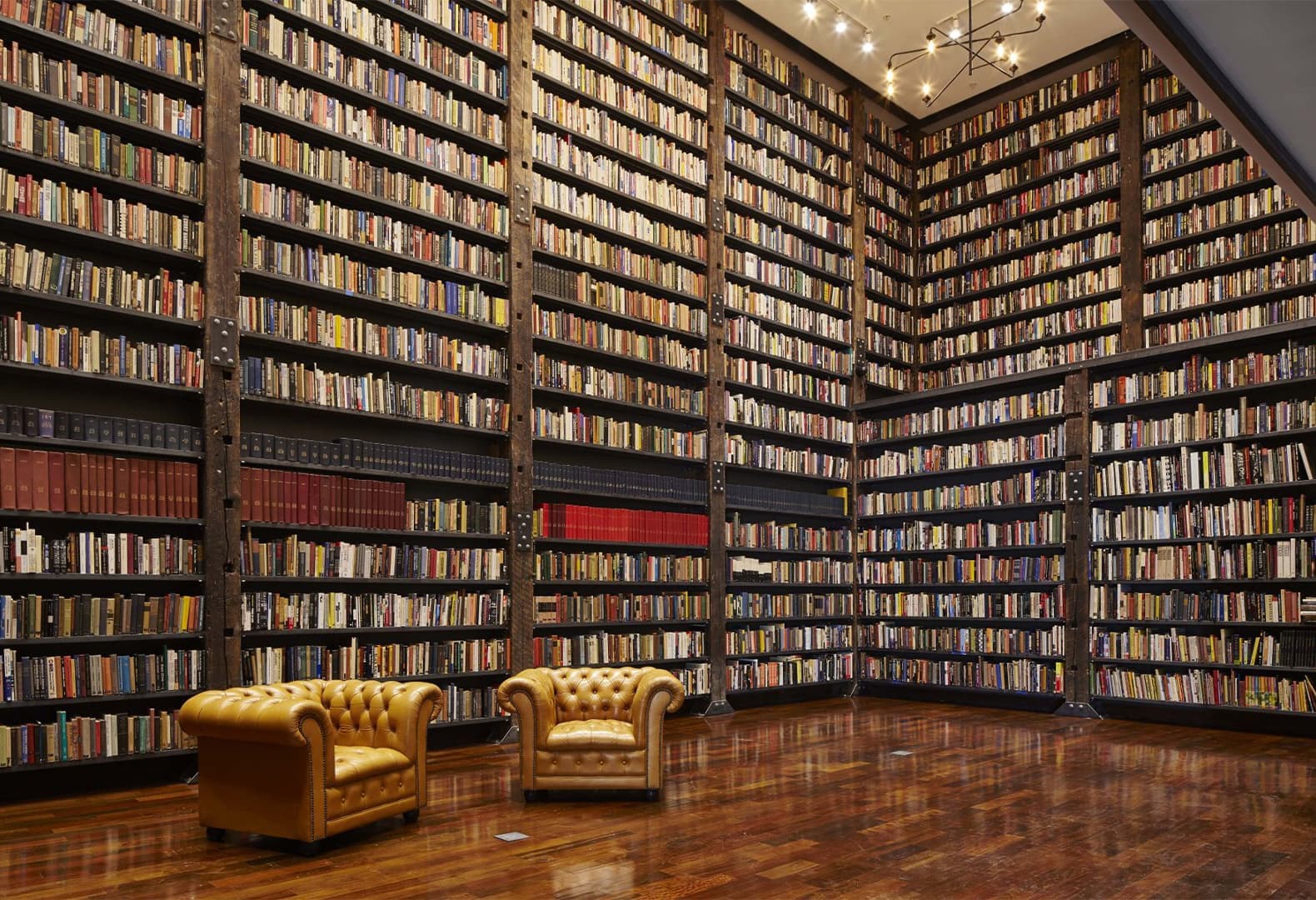 Stony Island Arts Bank. Фото: Tom Harris, © Hedrich Blessing. Предоставлено Rebuild Foundation