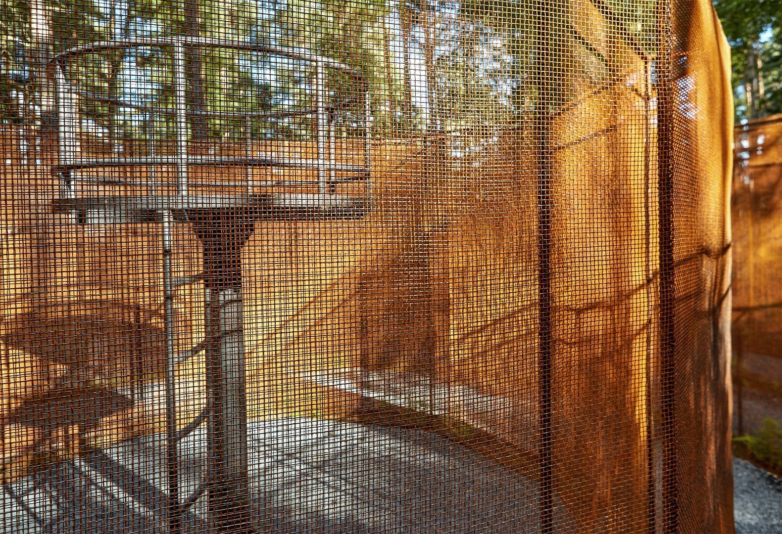 Юлия Несис, павильон «Лабиринт». Фото: Иван Ерофеев, галерея JART