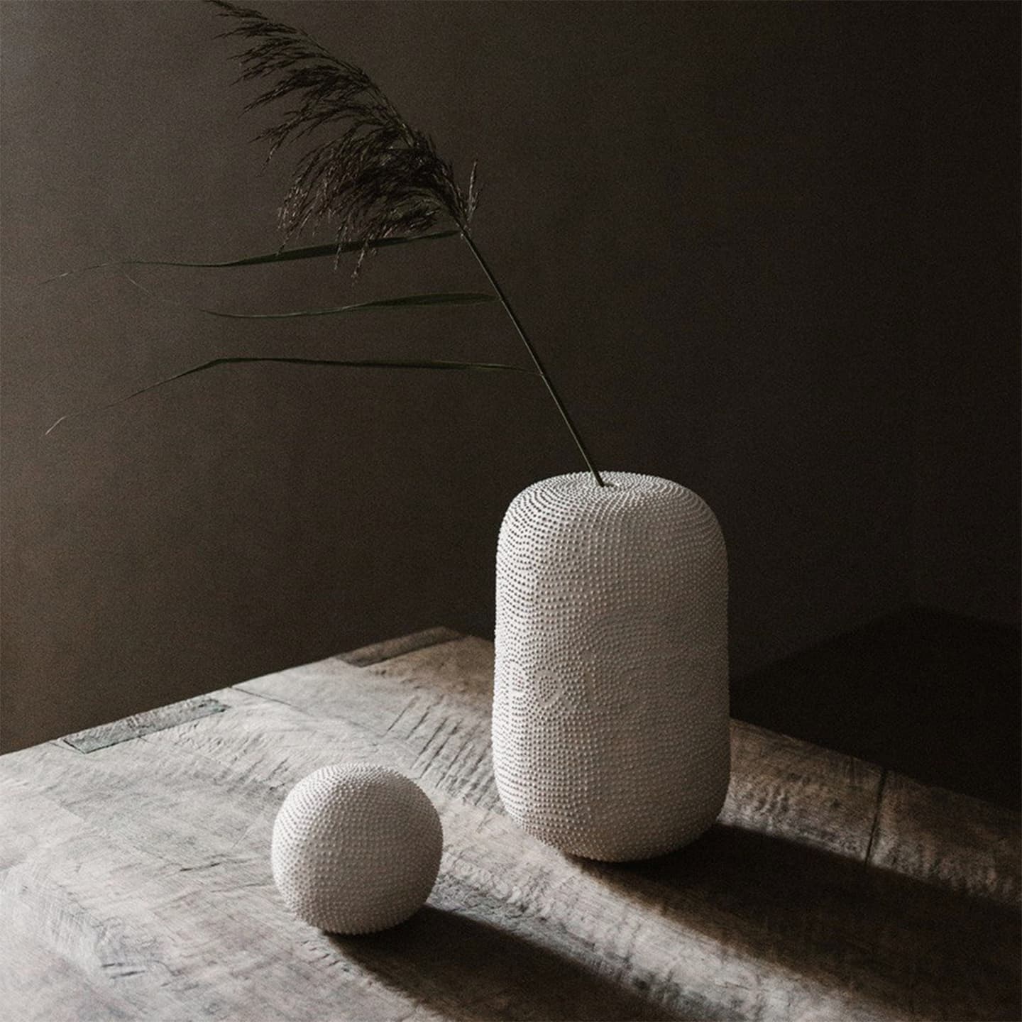 Работы Ани Слобожаниной