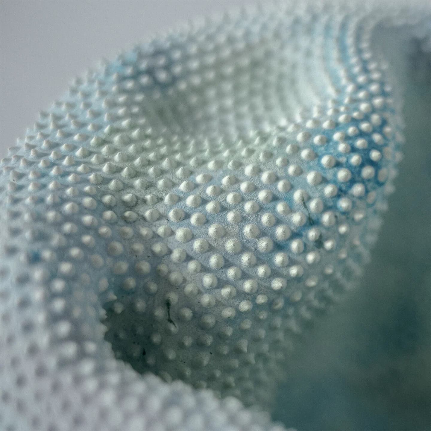 Работы Ани Слобожаниной