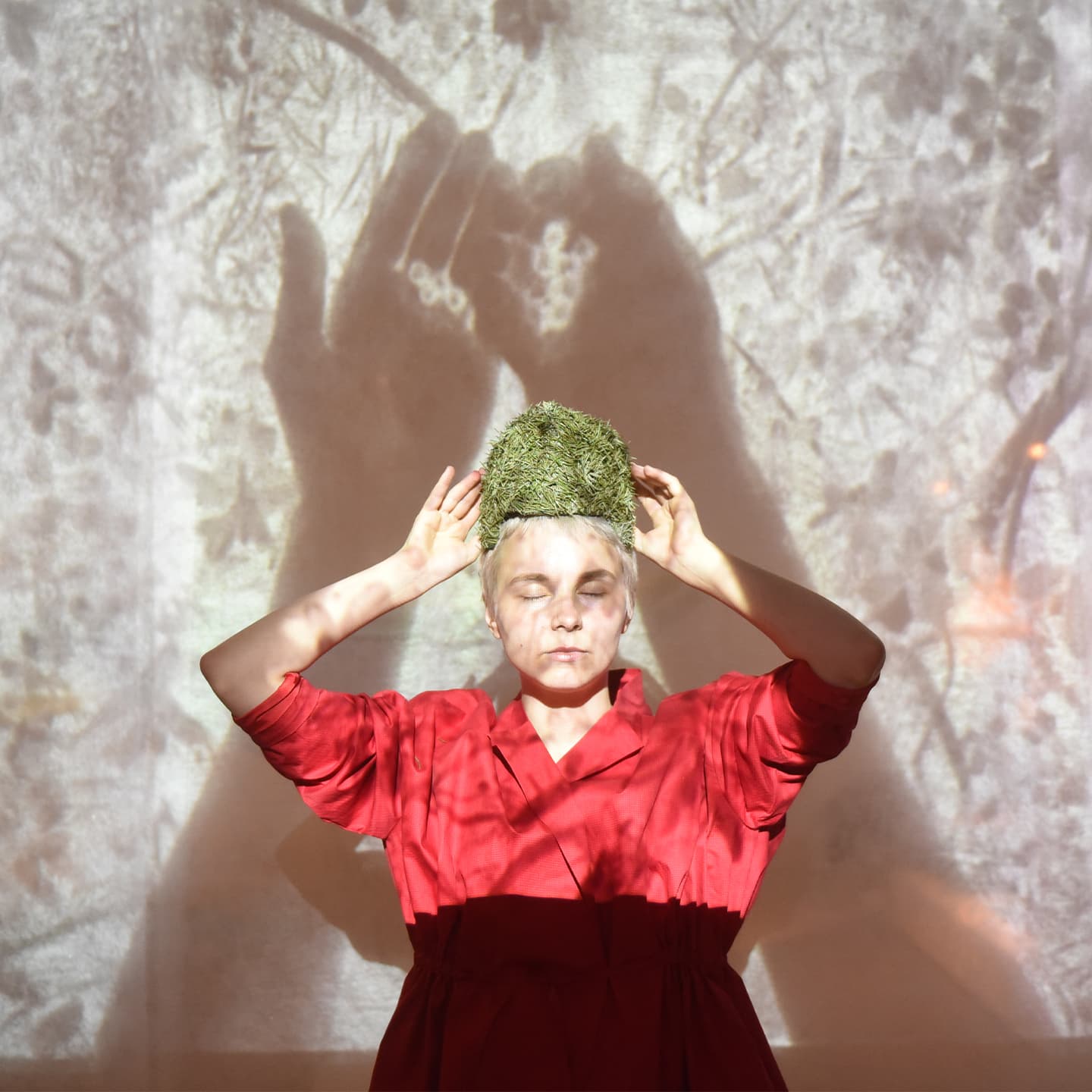 Работы Ани Слобожаниной