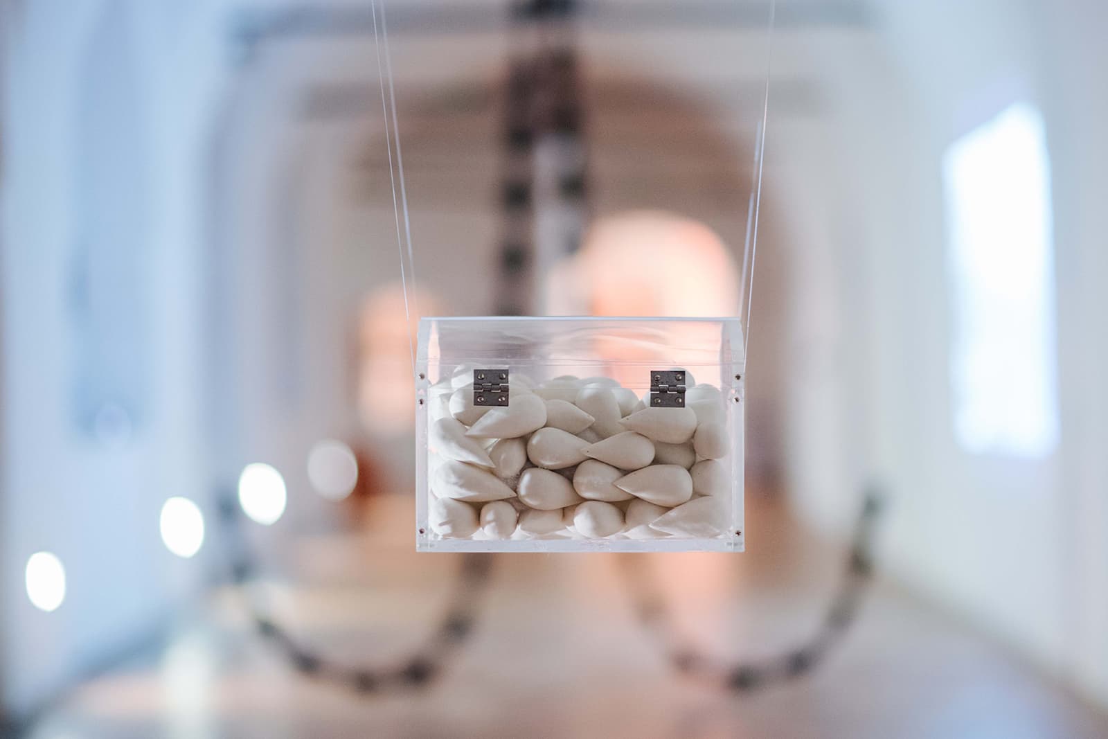 Работы Ани Слобожаниной