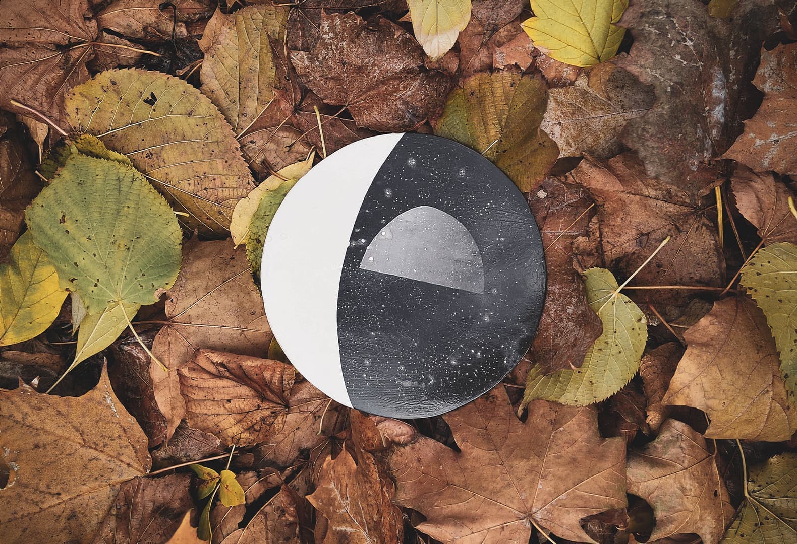 Городской ритм. Елена Столярова