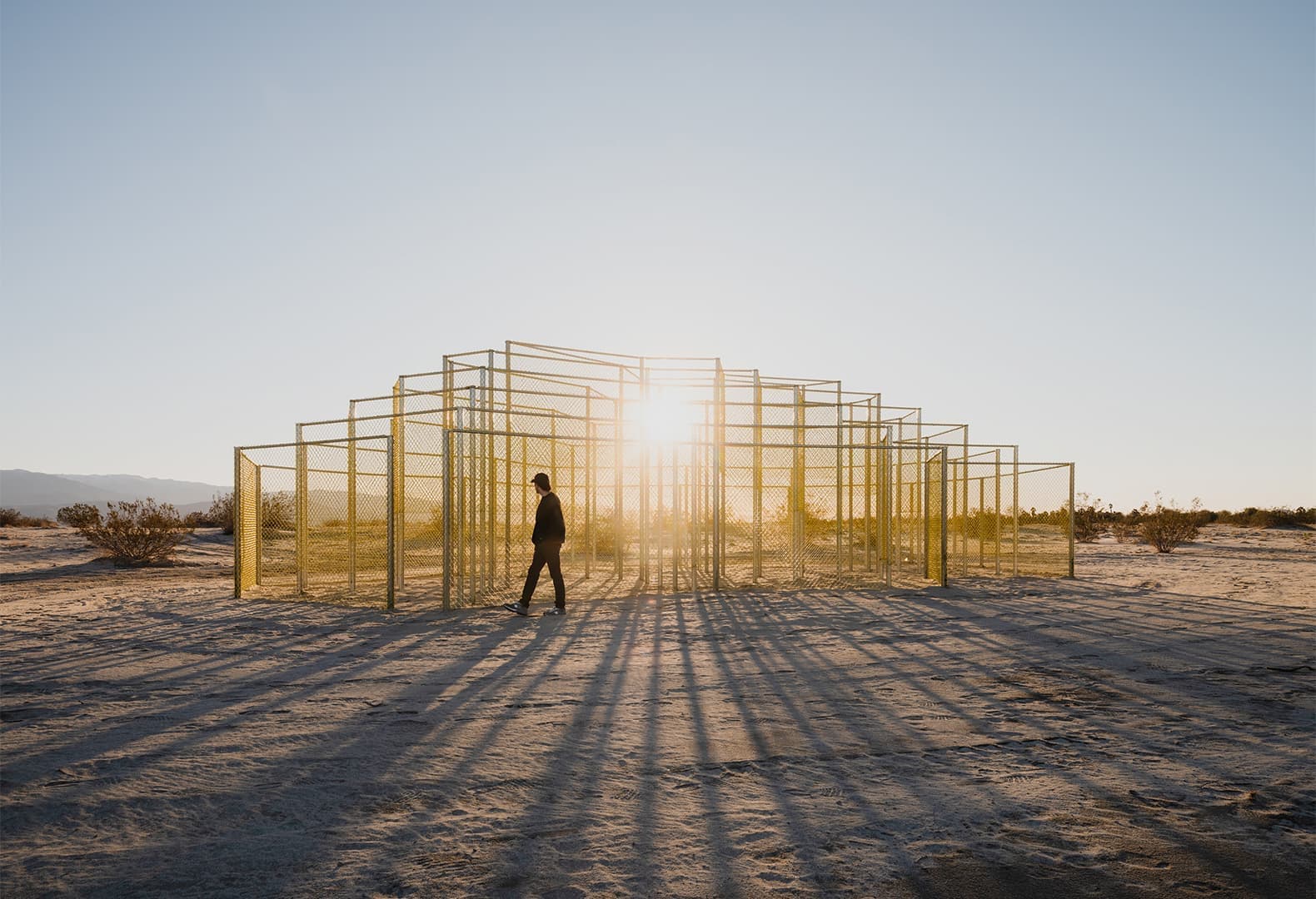 No.1225 Chainlink. Рана Бегум