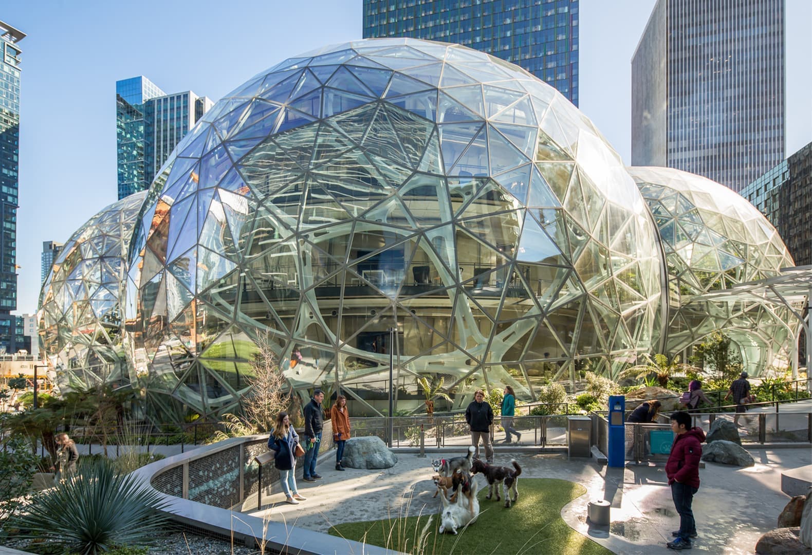 Офис Amazon по проекту бюро NBBJ. Фото: Sean Airhart Photography