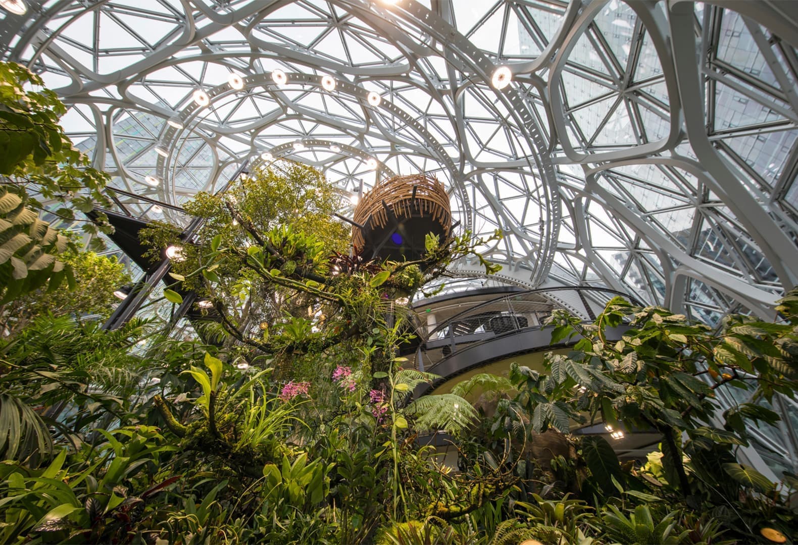 Офис Amazon по проекту бюро NBBJ. Фото: Sean Airhart Photography