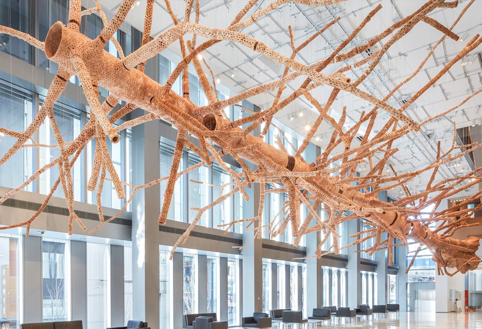 Middle Fork. Фото: John Grade Studio