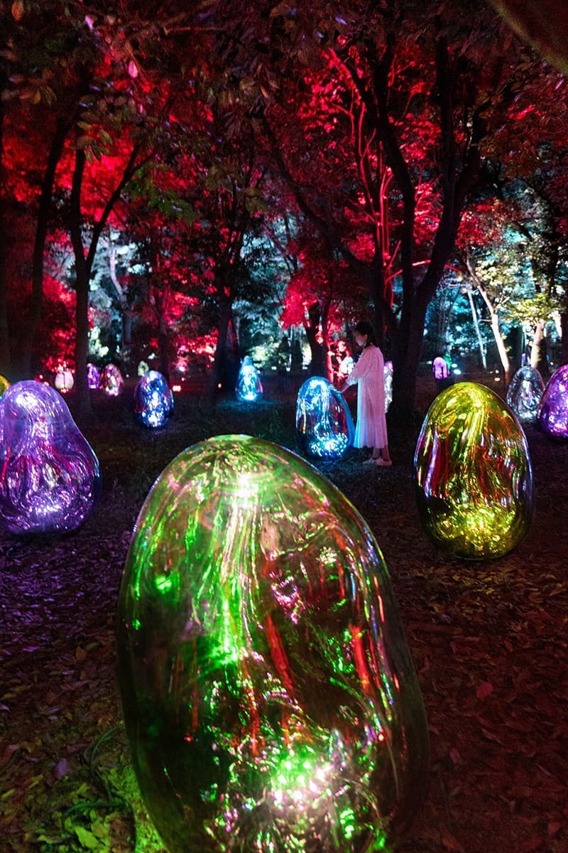 teamLab, Resonating Microcosms in the Common Camellia Garden - Solidified Light Color, Sunrise and Sunset. Фото: © teamLab