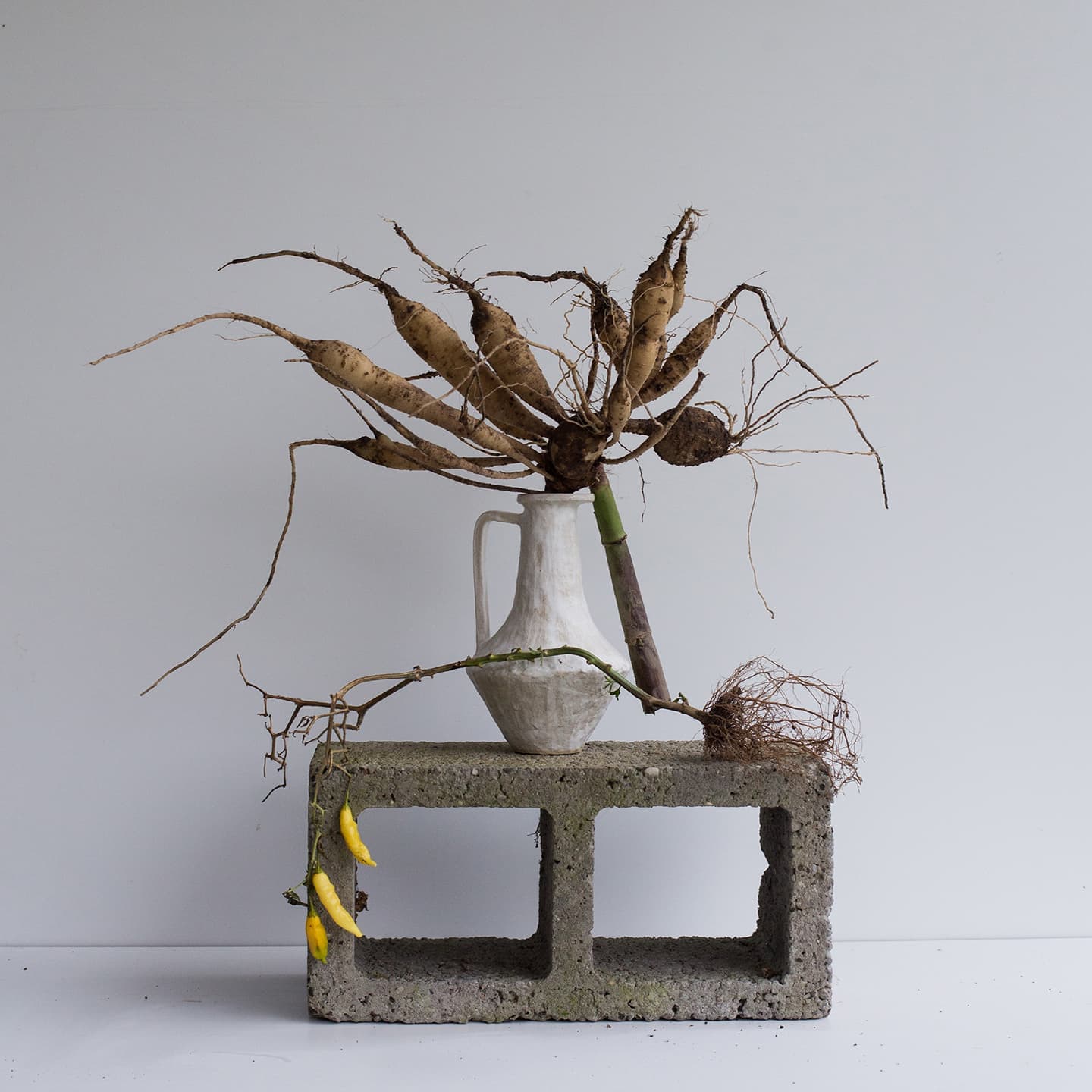 Художник-керамист Наталья Коншина