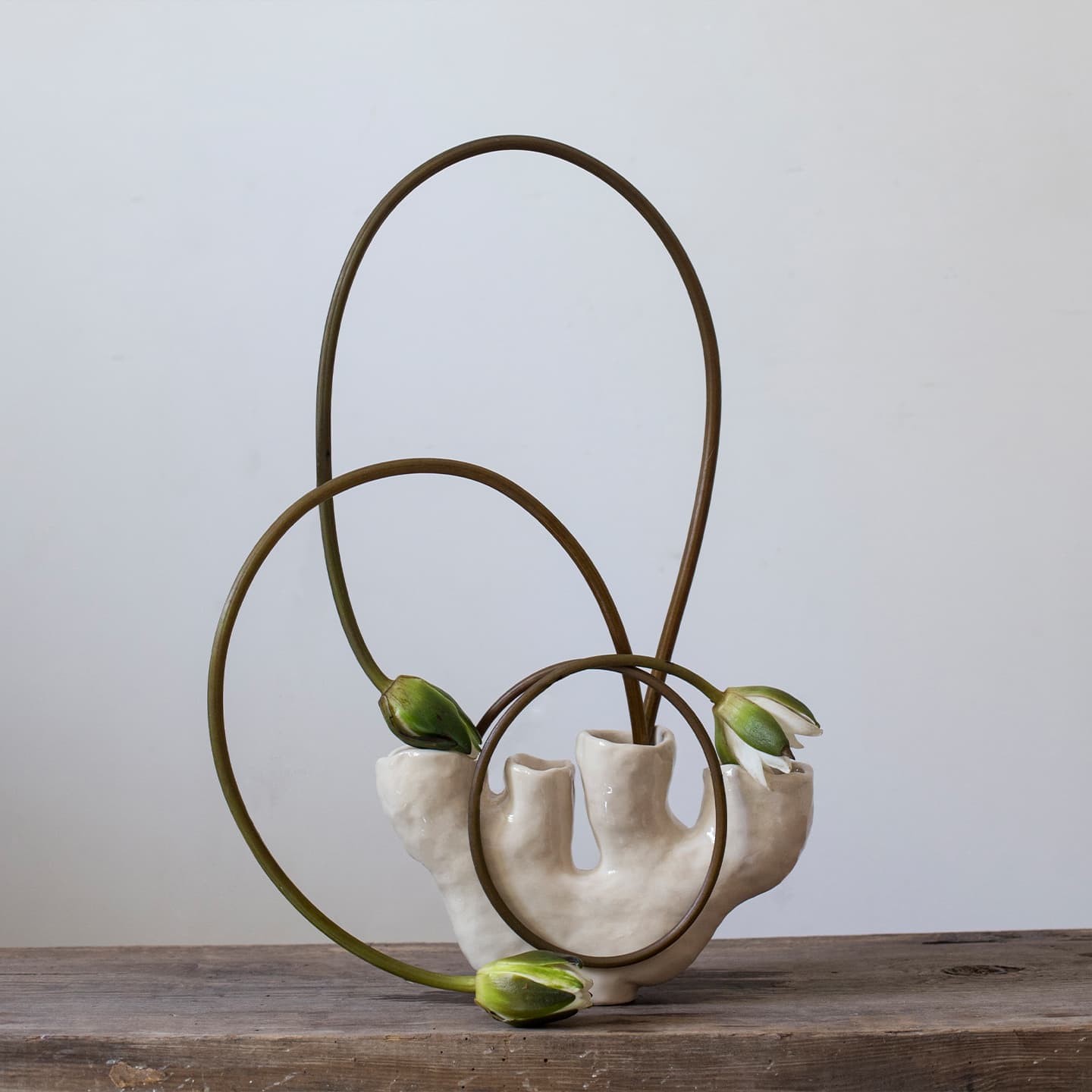 Художник-керамист Наталья Коншина