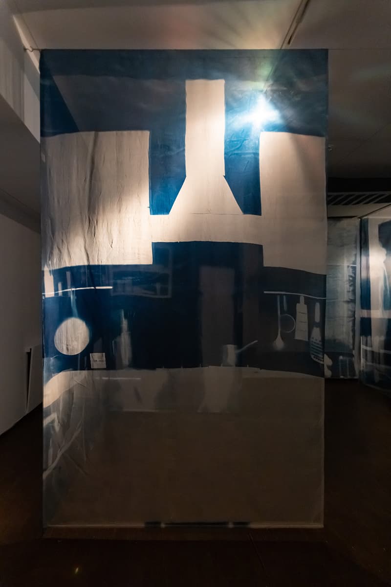 Анастасия Литвинова. Экспонаты, представленные на выставке «Два дома» в ММОМА